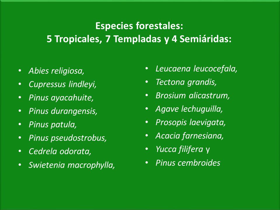 Especies forestales: 5 Tropicales, 7 Templadas y 4 Semiáridas: