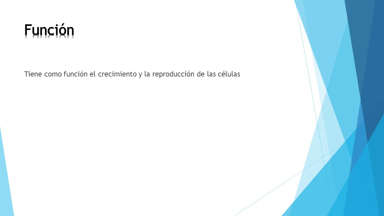 Función Tiene como función el crecimiento y la reproducción de las células