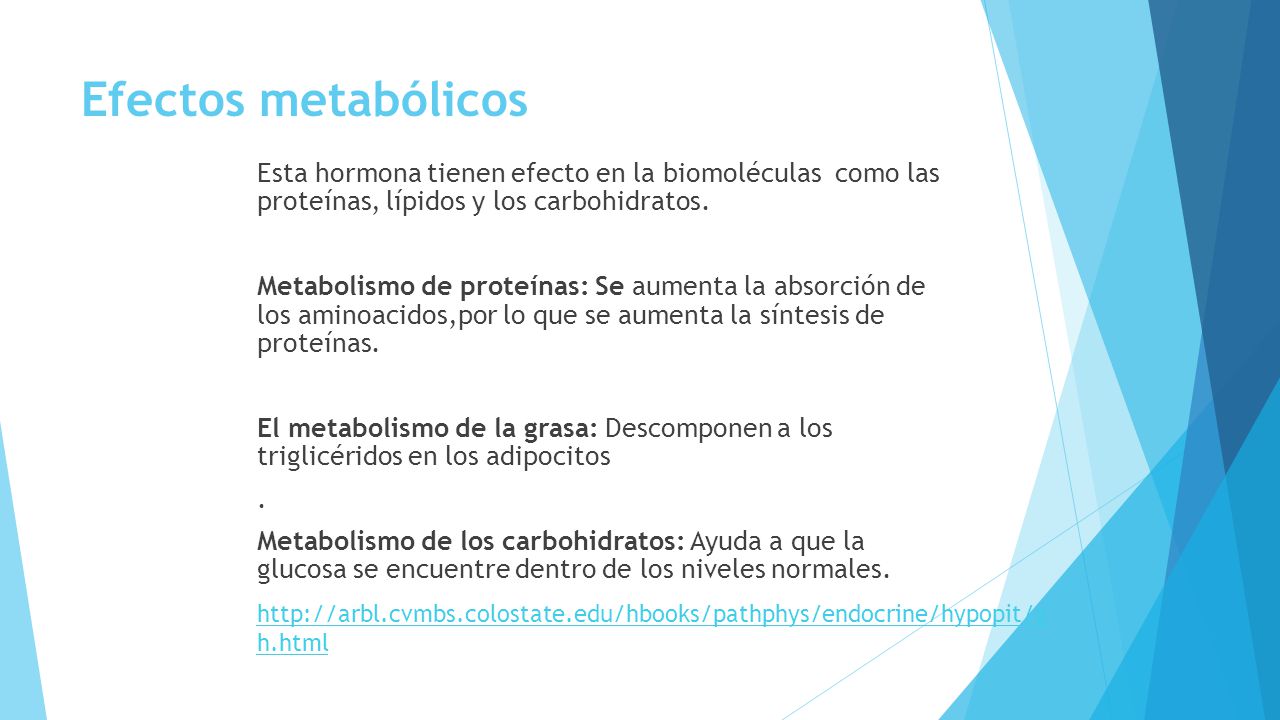 Efectos metabólicos Esta hormona tienen efecto en la biomoléculas como las proteínas, lípidos y los carbohidratos.