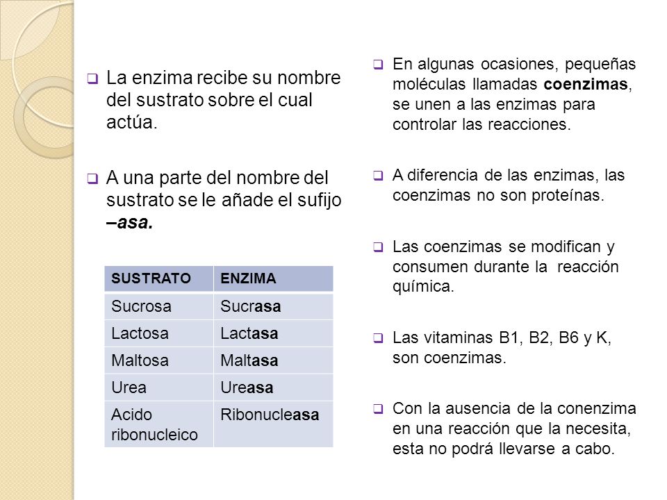 La enzima recibe su nombre del sustrato sobre el cual actúa.