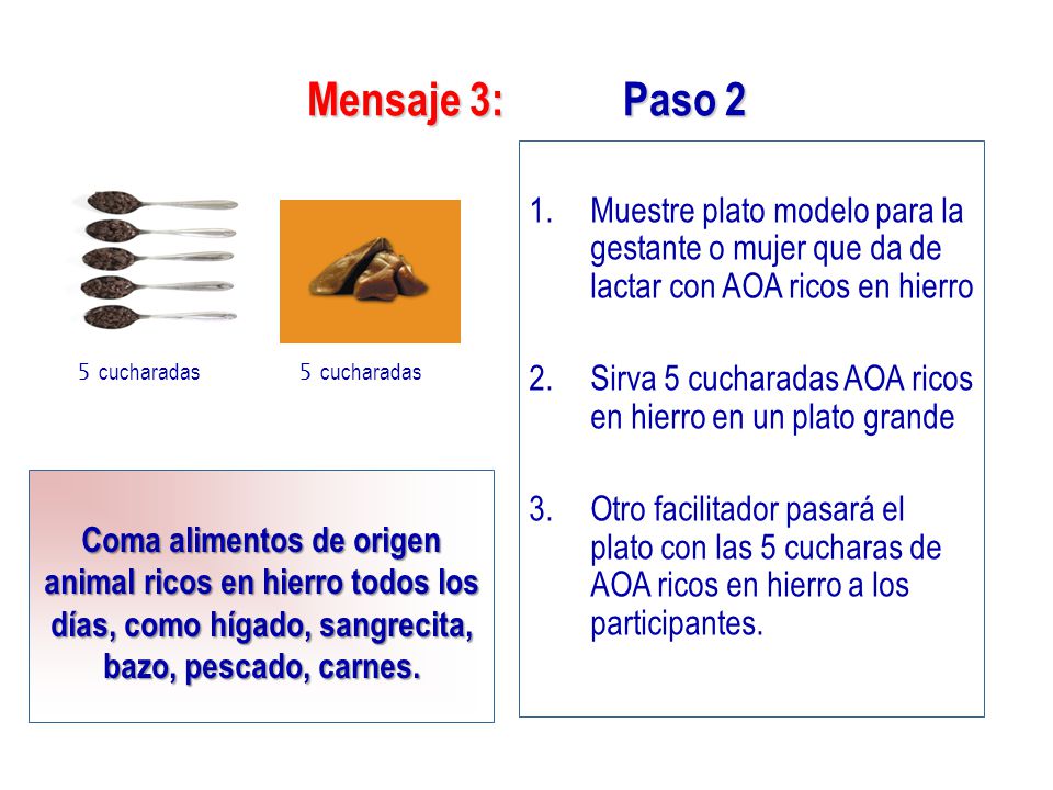 Mensaje 3: Paso 2 Muestre plato modelo para la gestante o mujer que da de lactar con AOA ricos en hierro.