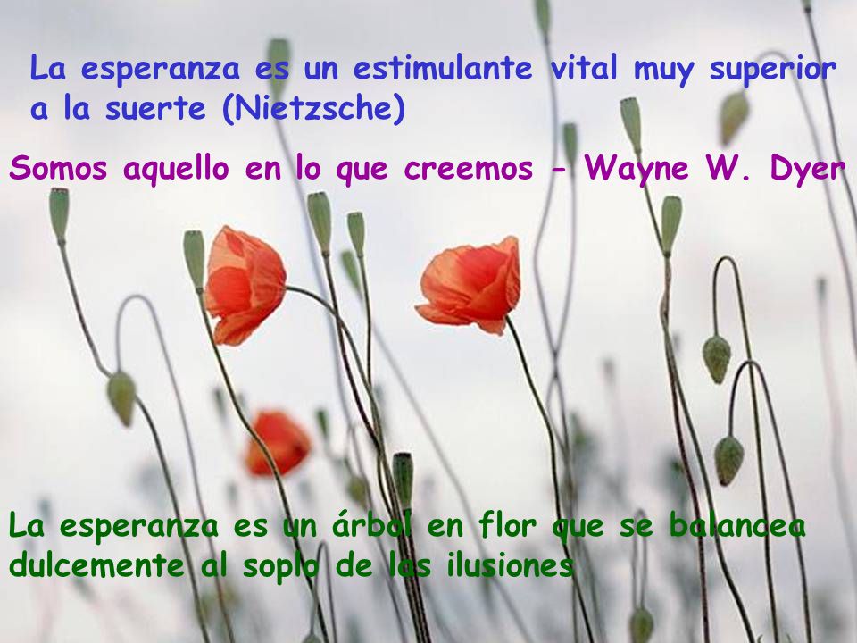 La esperanza es un estimulante vital muy superior a la suerte (Nietzsche)