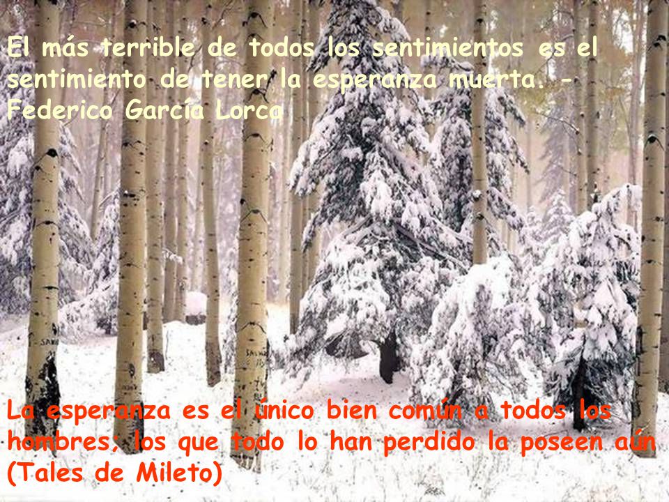 El más terrible de todos los sentimientos es el sentimiento de tener la esperanza muerta. - Federico García Lorca