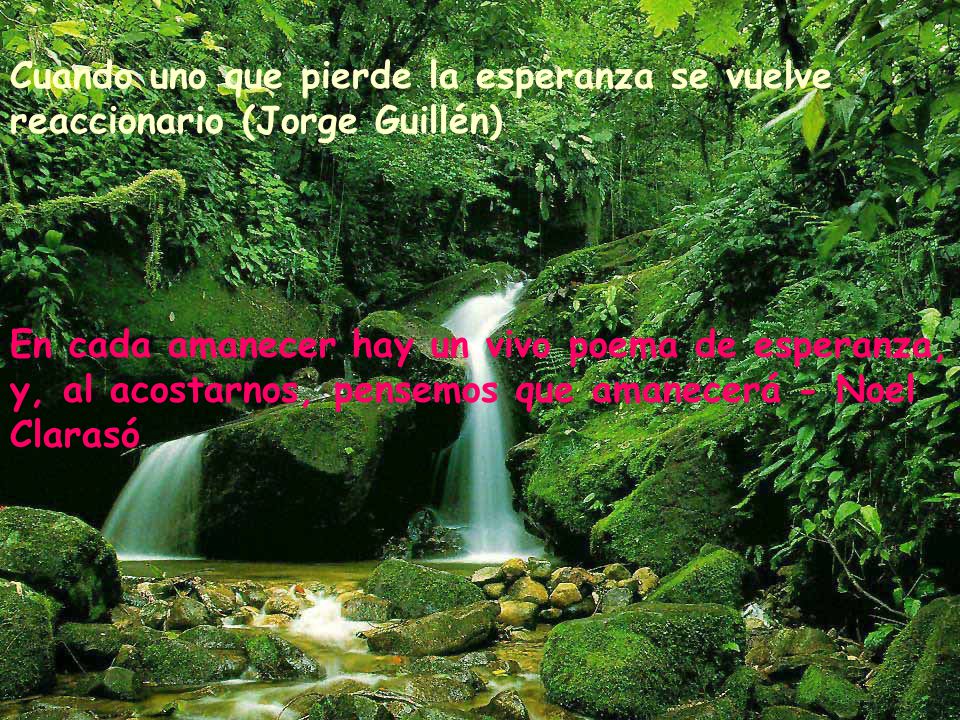 Cuando uno que pierde la esperanza se vuelve reaccionario (Jorge Guillén)