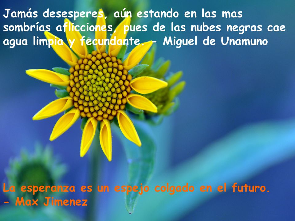 Jamás desesperes, aún estando en las mas sombrías aflicciones, pues de las nubes negras cae agua limpia y fecundante. - Miguel de Unamuno