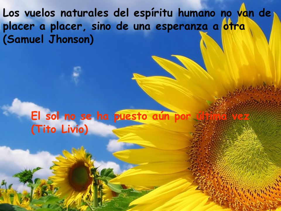 Los vuelos naturales del espíritu humano no van de placer a placer, sino de una esperanza a otra (Samuel Jhonson)