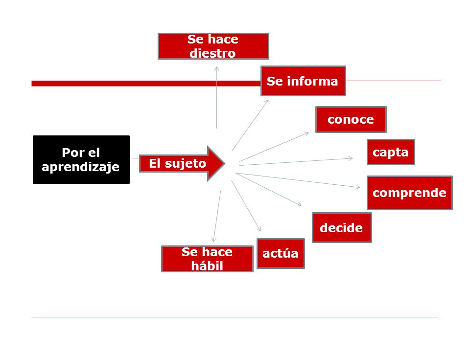Se hace diestro Se informa. conoce. Por el aprendizaje. capta. El sujeto. comprende. decide. actúa.