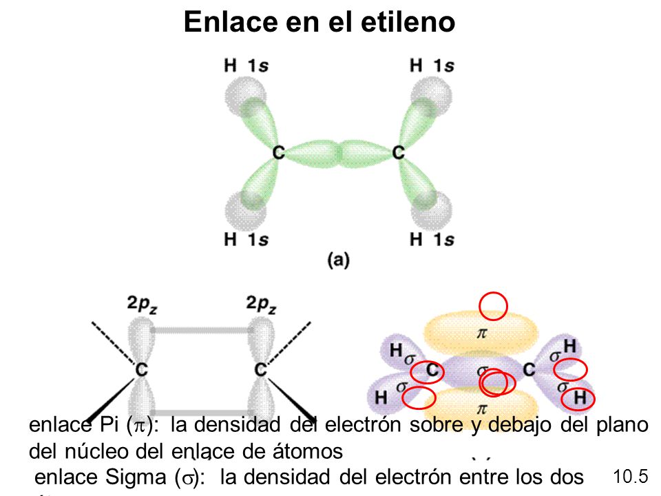 Enlace en el etileno enlace Pi (p): la densidad del electrón sobre y debajo del plano del núcleo del enlace de átomos.