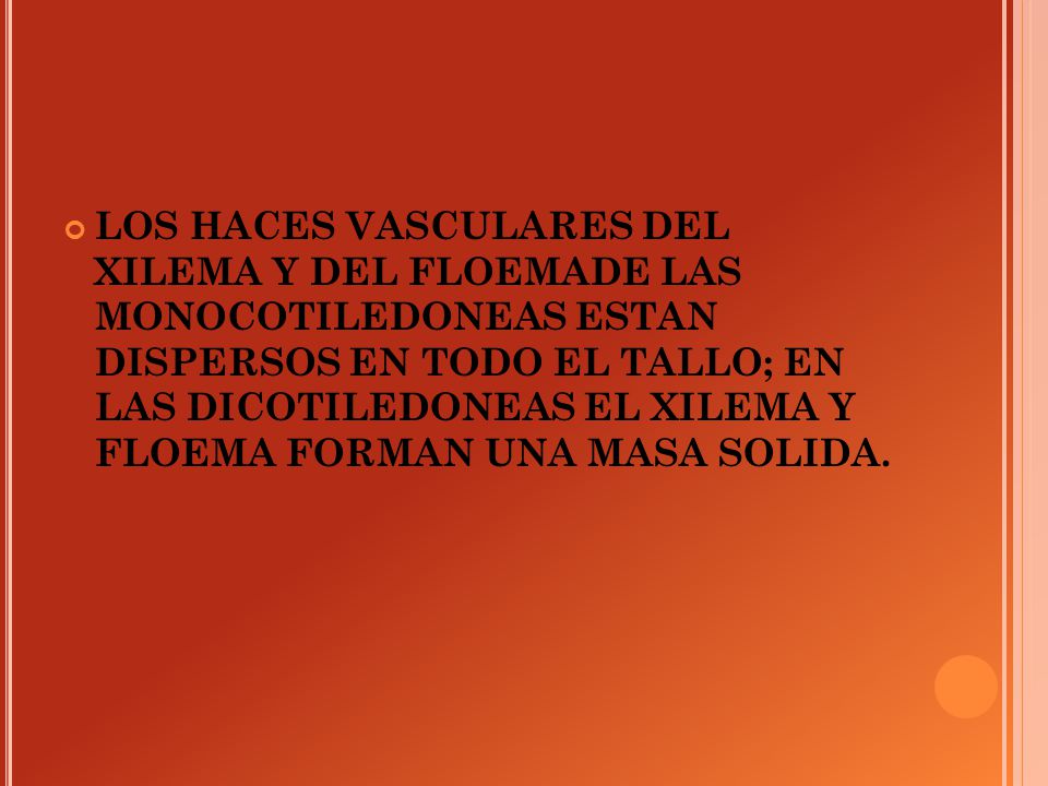 LOS HACES VASCULARES DEL XILEMA Y DEL FLOEMADE LAS MONOCOTILEDONEAS ESTAN DISPERSOS EN TODO EL TALLO; EN LAS DICOTILEDONEAS EL XILEMA Y FLOEMA FORMAN UNA MASA SOLIDA.
