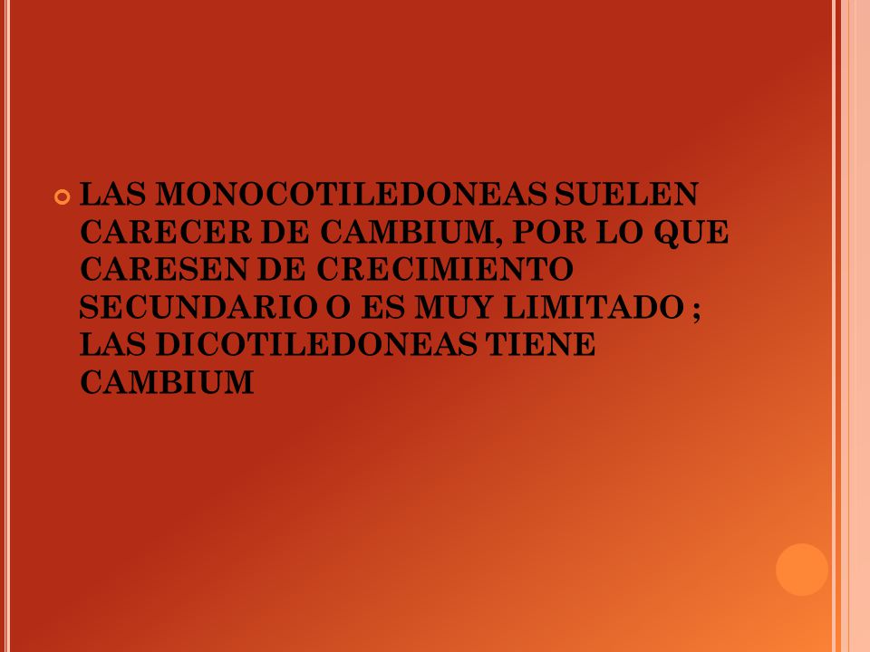 LAS MONOCOTILEDONEAS SUELEN CARECER DE CAMBIUM, POR LO QUE CARESEN DE CRECIMIENTO SECUNDARIO O ES MUY LIMITADO ; LAS DICOTILEDONEAS TIENE CAMBIUM