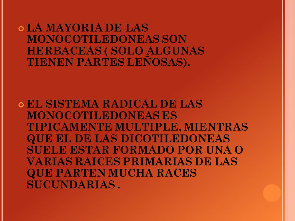 LA MAYORIA DE LAS MONOCOTILEDONEAS SON HERBACEAS ( SOLO ALGUNAS TIENEN PARTES LEÑOSAS).