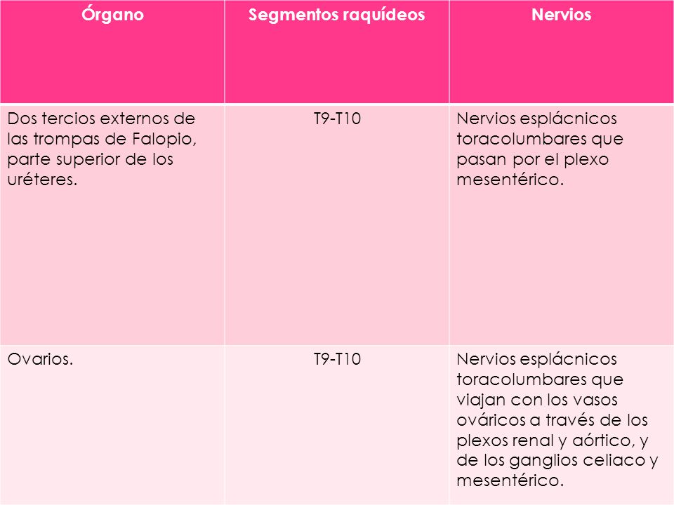 Órgano Segmentos raquídeos. Nervios. Dos tercios externos de las trompas de Falopio, parte superior de los uréteres.
