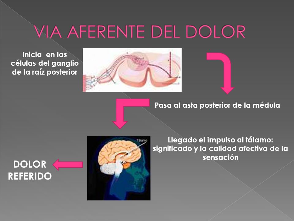 Inicia en las células del ganglio de la raíz posterior