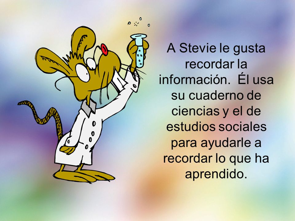 A Stevie le gusta recordar la información