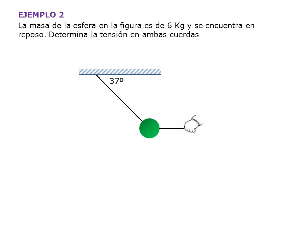 EJEMPLO 2 La masa de la esfera en la figura es de 6 Kg y se encuentra en reposo.