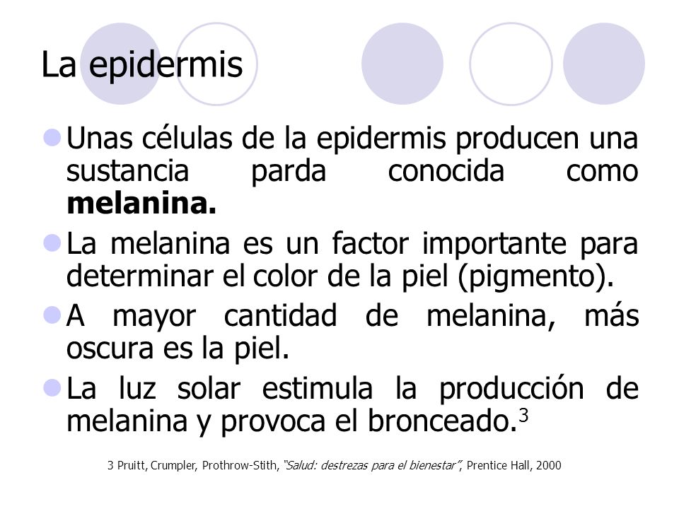 La epidermis Unas células de la epidermis producen una sustancia parda conocida como melanina.