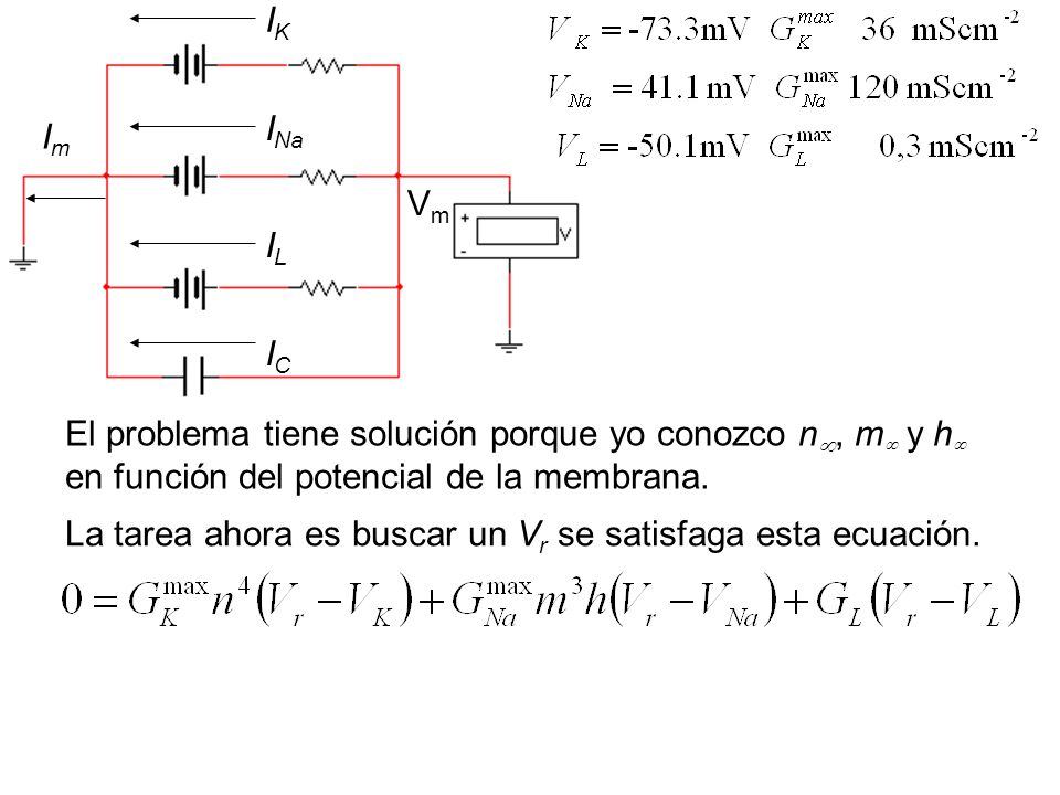 IK INa. Im. Vm. IL. IC. El problema tiene solución porque yo conozco n, m y h en función del potencial de la membrana.