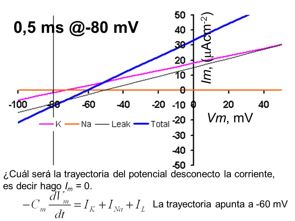 0,5 mV Im, (Acm-2) Vm, mV. ¿Cuál será la trayectoria del potencial desconecto la corriente, es decir hago Im = 0.