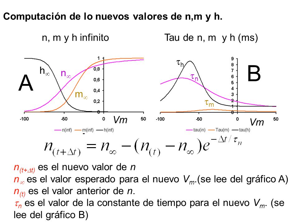 B A Computación de lo nuevos valores de n,m y h. n, m y h infinito