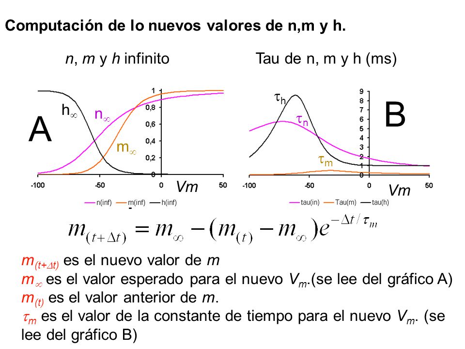 B A Computación de lo nuevos valores de n,m y h. n, m y h infinito