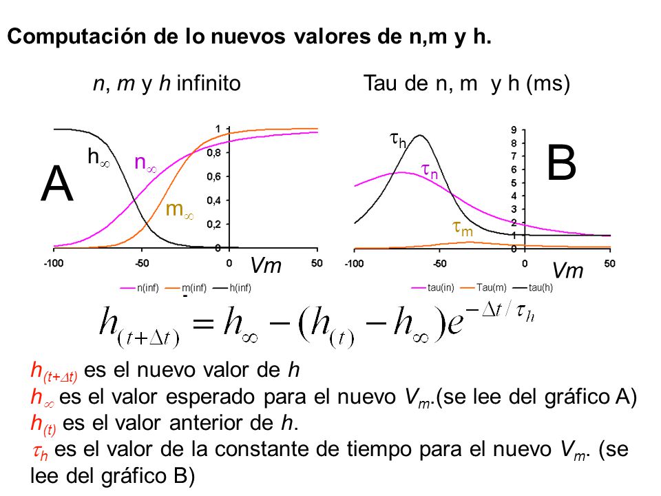 B A Computación de lo nuevos valores de n,m y h. n, m y h infinito