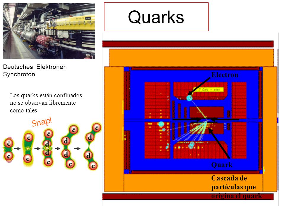 Quarks Electron Quark Cascada de partículas que origina el quark