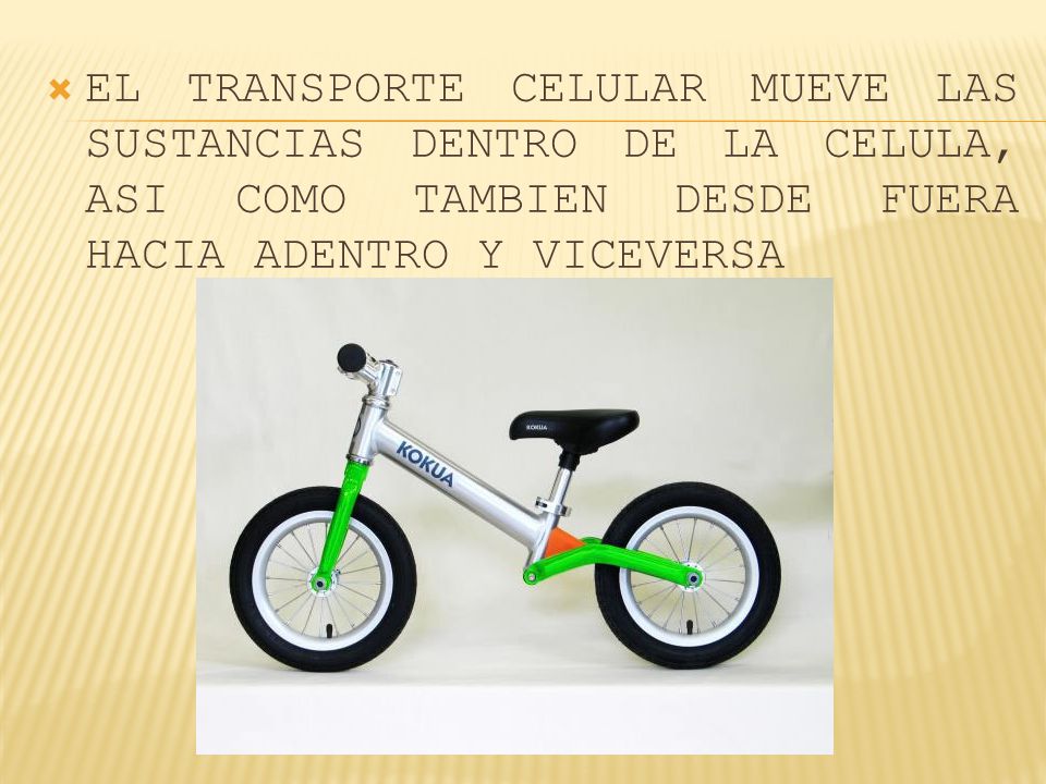 EL TRANSPORTE CELULAR MUEVE LAS SUSTANCIAS DENTRO DE LA CELULA, ASI COMO TAMBIEN DESDE FUERA HACIA ADENTRO Y VICEVERSA