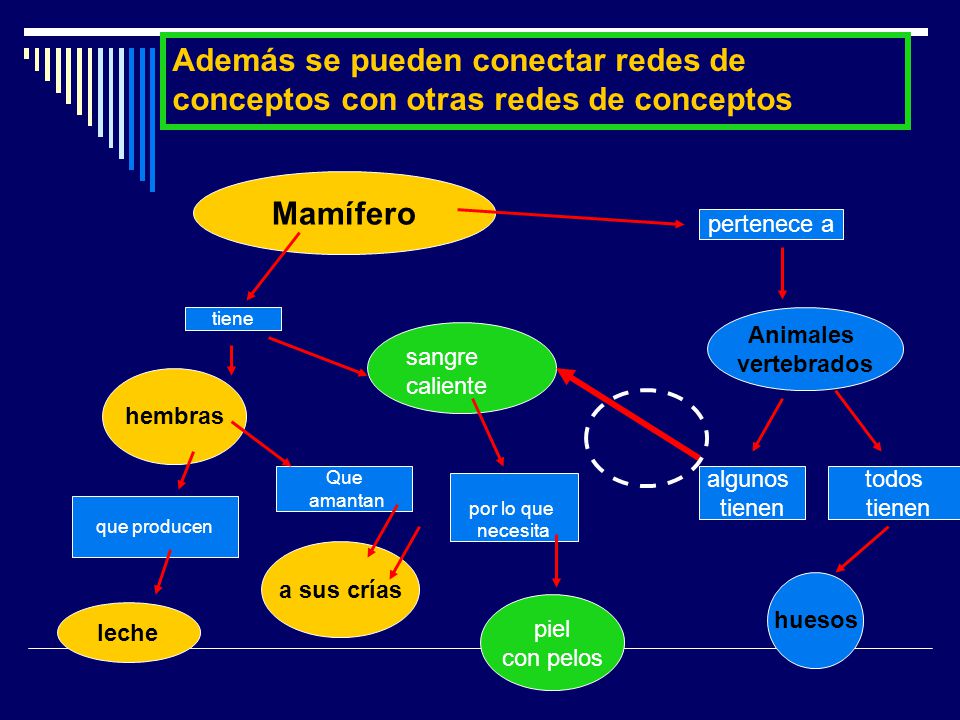 Además se pueden conectar redes de conceptos con otras redes de conceptos
