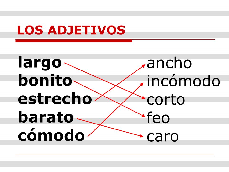 largo ancho bonito incómodo estrecho corto barato feo cómodo caro