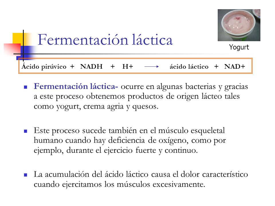 Fermentación láctica Yogurt. Ácido pirúvico + NADH + H+ ácido láctico + NAD+