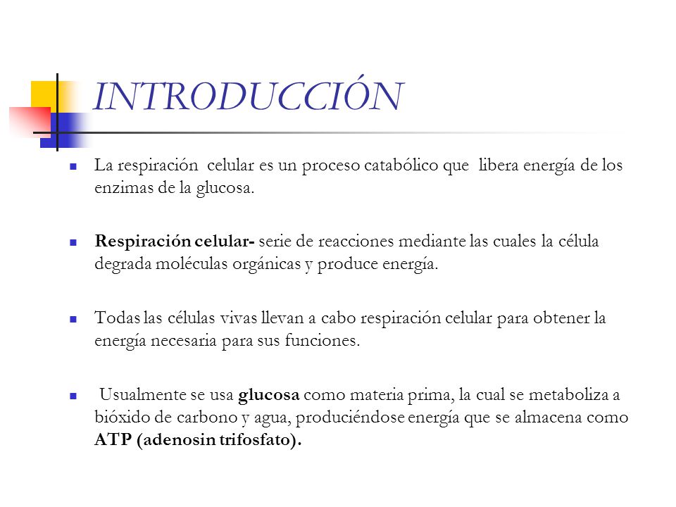INTRODUCCIÓN La respiración celular es un proceso catabólico que libera energía de los enzimas de la glucosa.