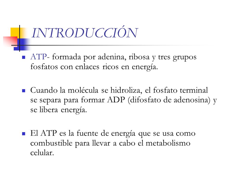 INTRODUCCIÓN ATP- formada por adenina, ribosa y tres grupos fosfatos con enlaces ricos en energía.