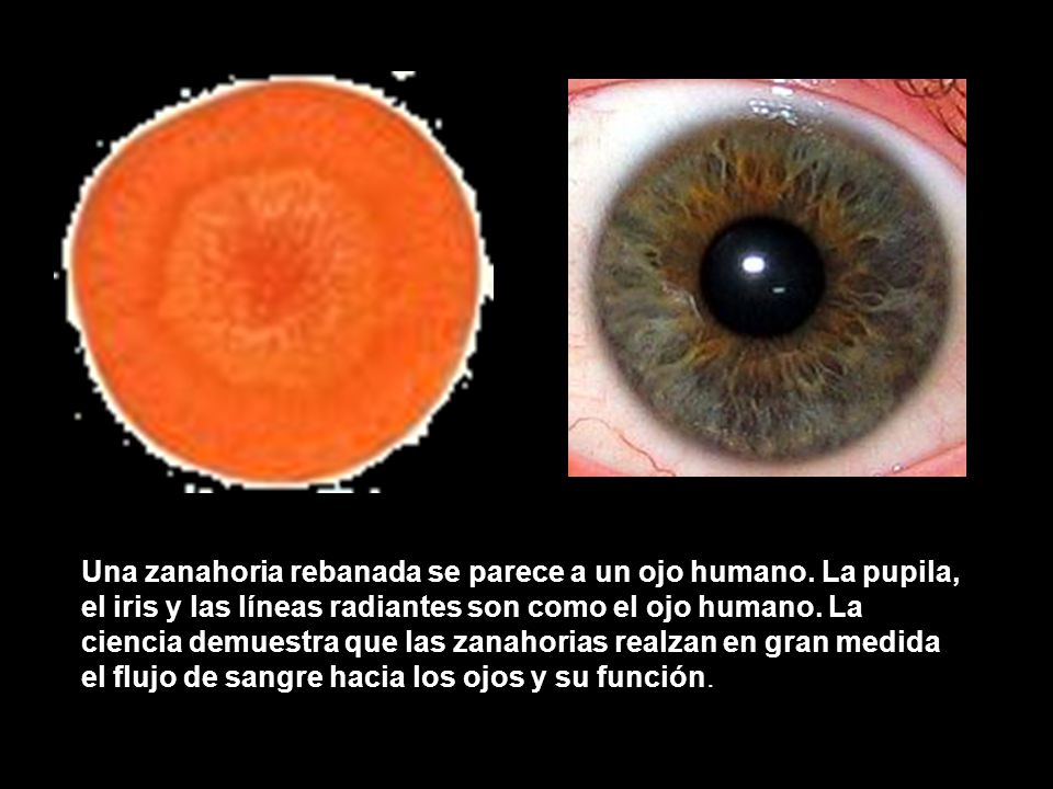 Una zanahoria rebanada se parece a un ojo humano