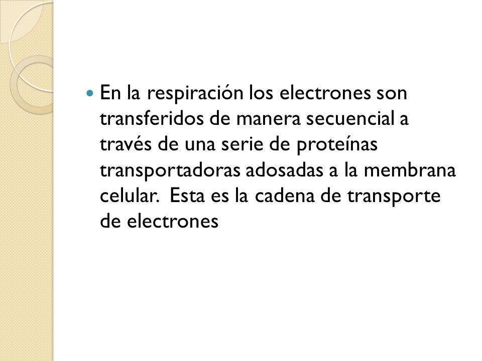 En la respiración los electrones son transferidos de manera secuencial a través de una serie de proteínas transportadoras adosadas a la membrana celular.