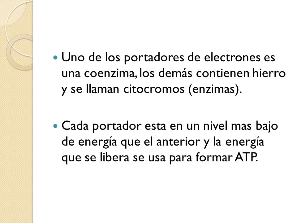 Uno de los portadores de electrones es una coenzima, los demás contienen hierro y se llaman citocromos (enzimas).