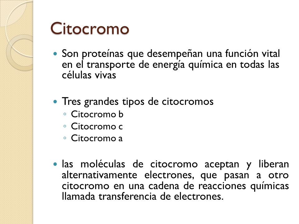 Citocromo Son proteínas que desempeñan una función vital en el transporte de energía química en todas las células vivas.
