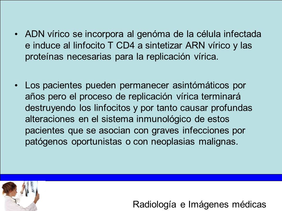 ADN vírico se incorpora al genóma de la célula infectada e induce al linfocito T CD4 a sintetizar ARN vírico y las proteínas necesarias para la replicación vírica.