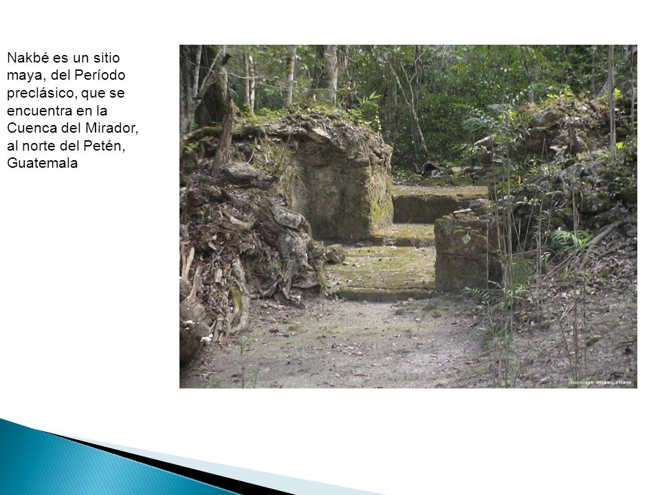Nakbé es un sitio maya, del Período preclásico, que se encuentra en la Cuenca del Mirador, al norte del Petén, Guatemala