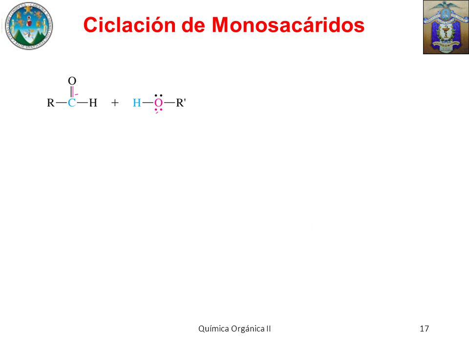 Ciclación de Monosacáridos