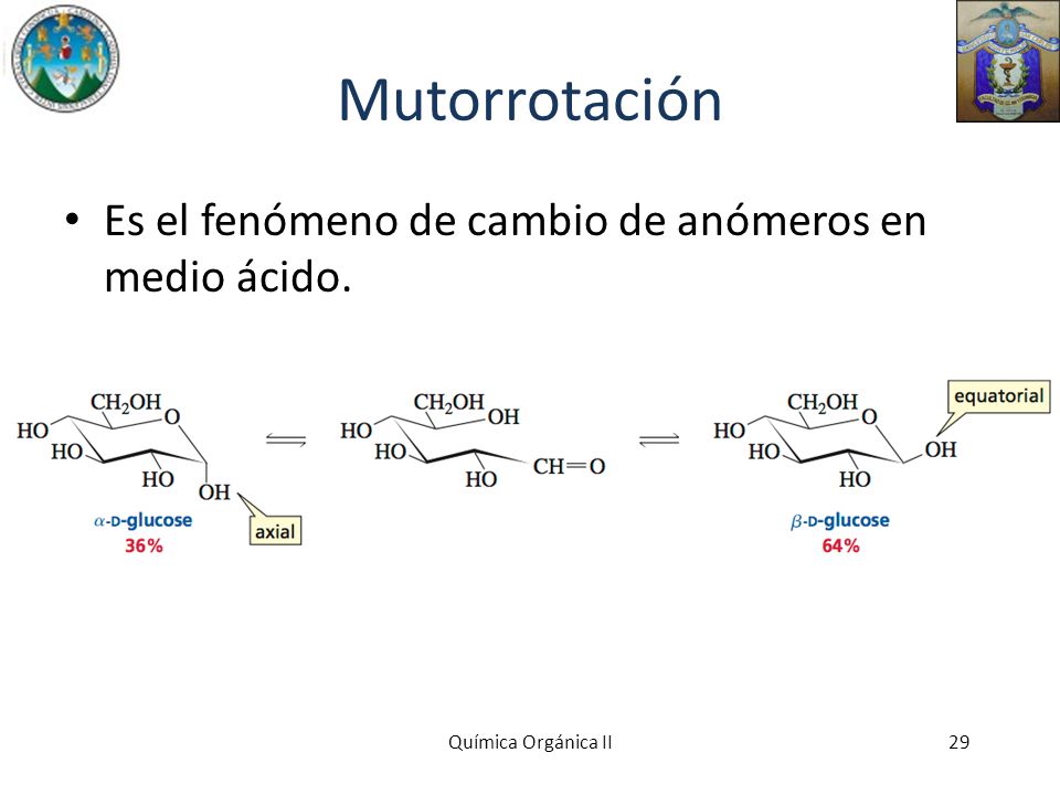 Mutorrotación Es el fenómeno de cambio de anómeros en medio ácido.