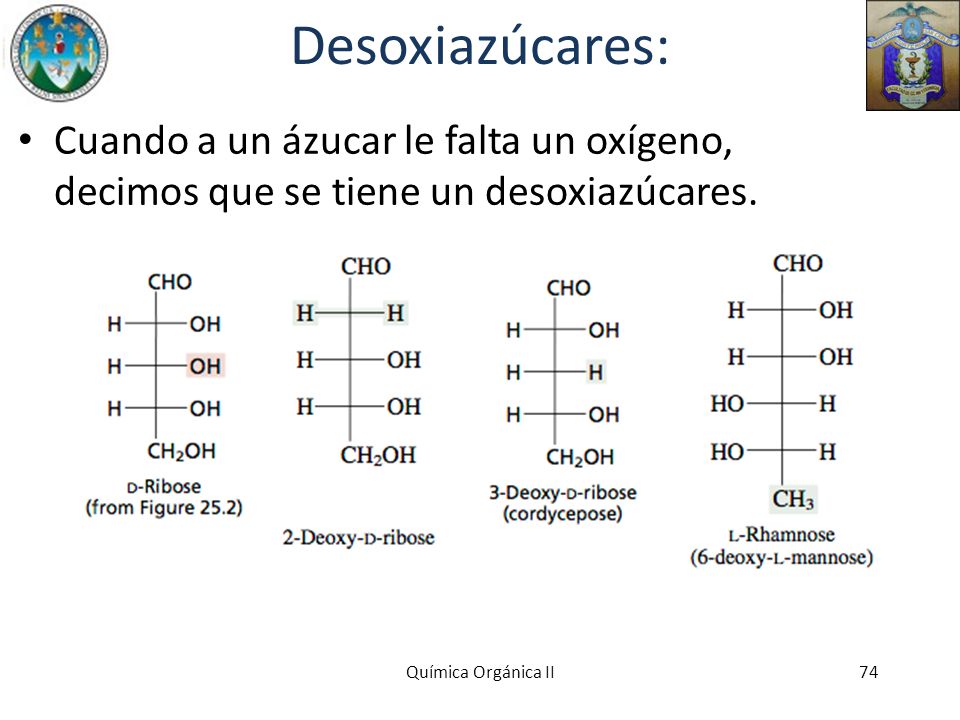 Desoxiazúcares: Cuando a un ázucar le falta un oxígeno, decimos que se tiene un desoxiazúcares.