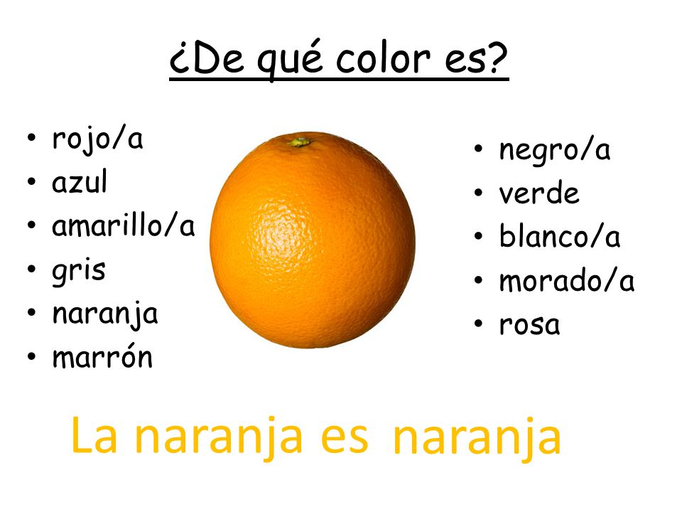 La naranja es naranja ¿De qué color es rojo/a negro/a azul verde