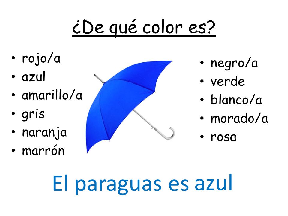 El paraguas es azul ¿De qué color es rojo/a negro/a azul verde