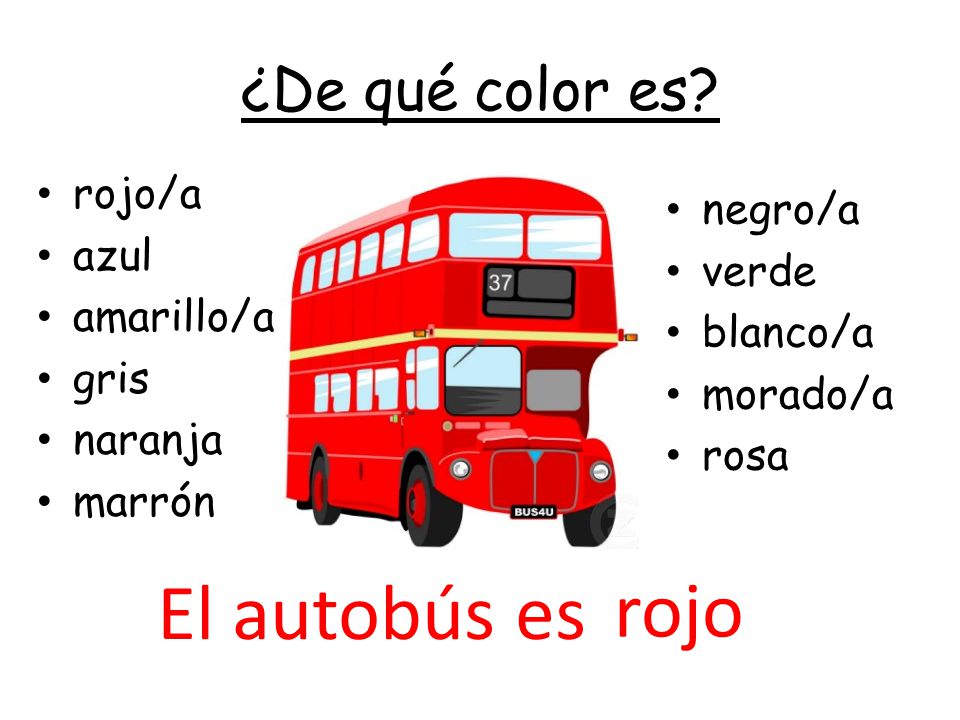 El autobús es rojo ¿De qué color es rojo/a negro/a azul verde
