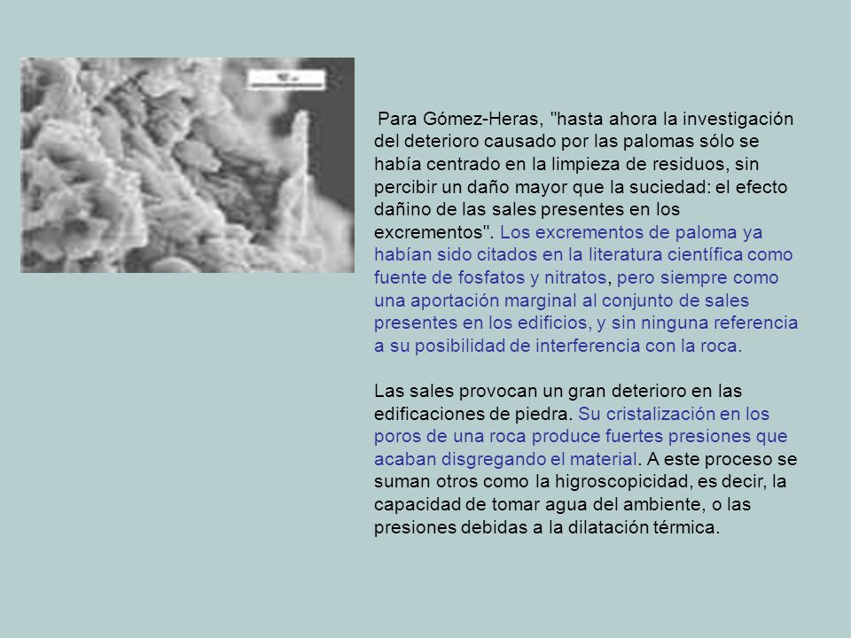 Para Gómez-Heras, hasta ahora la investigación del deterioro causado por las palomas sólo se había centrado en la limpieza de residuos, sin percibir un daño mayor que la suciedad: el efecto dañino de las sales presentes en los excrementos . Los excrementos de paloma ya habían sido citados en la literatura científica como fuente de fosfatos y nitratos, pero siempre como una aportación marginal al conjunto de sales presentes en los edificios, y sin ninguna referencia a su posibilidad de interferencia con la roca.