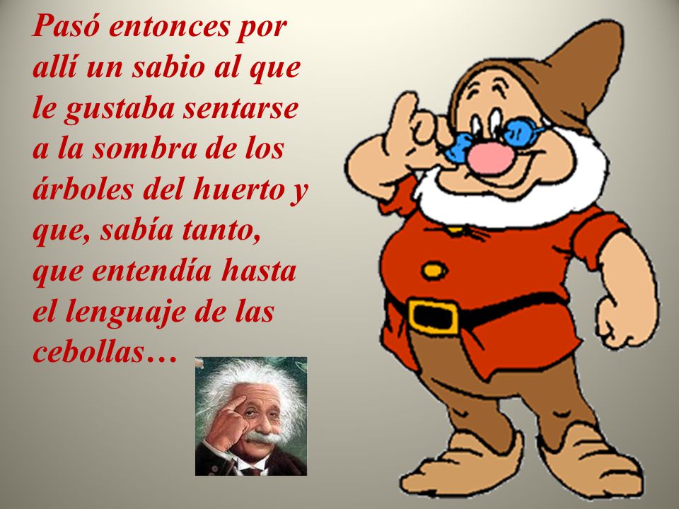 Pasó entonces por allí un sabio al que le gustaba sentarse a la sombra de los árboles del huerto y que, sabía tanto, que entendía hasta el lenguaje de las cebollas…