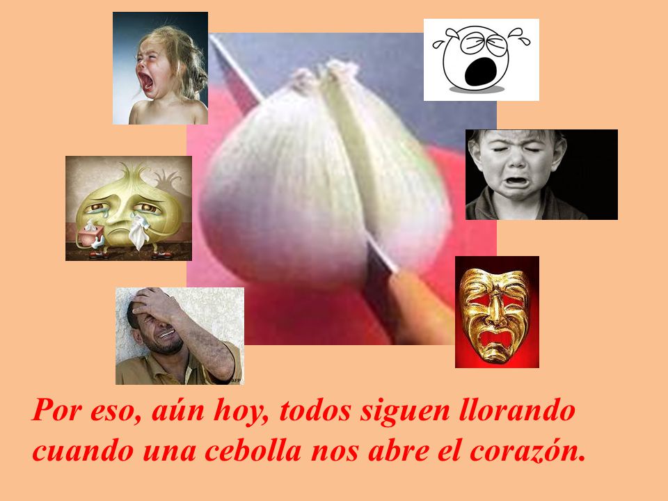 Por eso, aún hoy, todos siguen llorando cuando una cebolla nos abre el corazón.