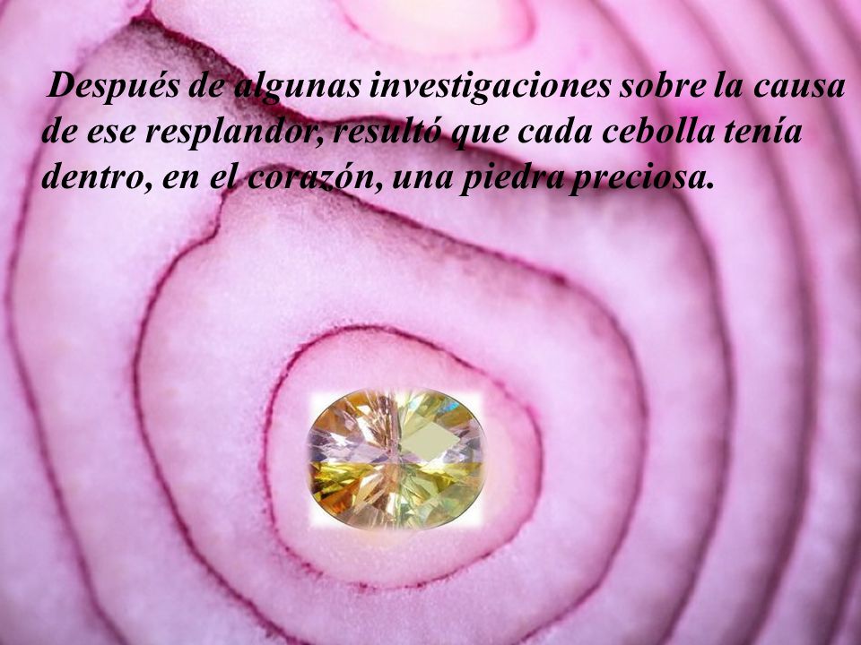 Después de algunas investigaciones sobre la causa de ese resplandor, resultó que cada cebolla tenía dentro, en el corazón, una piedra preciosa.