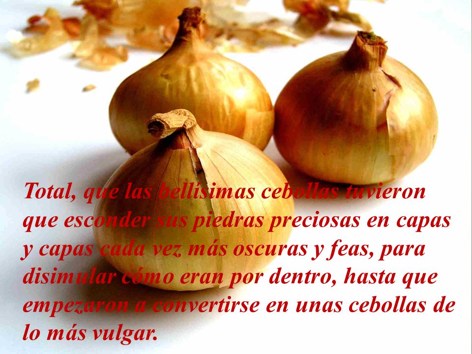 Total, que las bellísimas cebollas tuvieron que esconder sus piedras preciosas en capas y capas cada vez más oscuras y feas, para disimular cómo eran por dentro, hasta que empezaron a convertirse en unas cebollas de lo más vulgar.