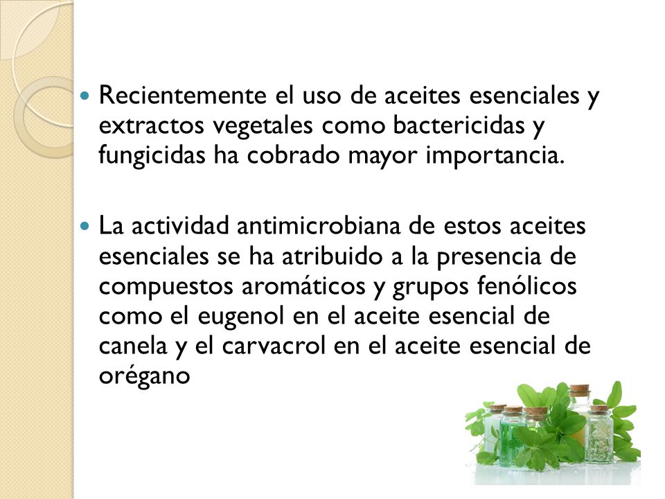 Recientemente el uso de aceites esenciales y extractos vegetales como bactericidas y fungicidas ha cobrado mayor importancia.